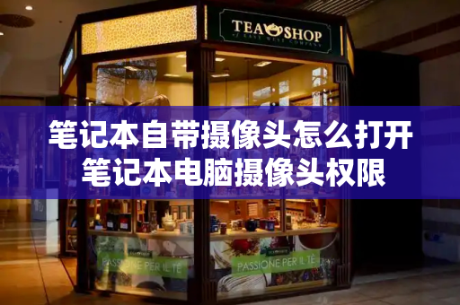 笔记本自带摄像头怎么打开 笔记本电脑摄像头权限-第1张图片-星选测评