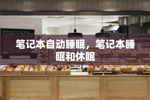 笔记本自动睡眠，笔记本睡眠和休眠