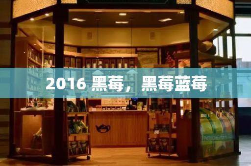 2016 黑莓，黑莓蓝莓-第1张图片-星选测评