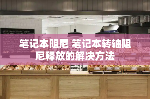 笔记本阻尼 笔记本转轴阻尼释放的解决方法-第1张图片-星选测评