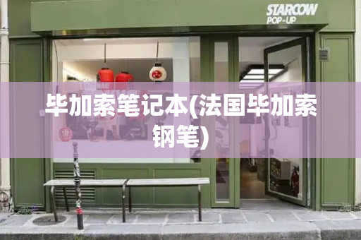 毕加索笔记本(法国毕加索钢笔)-第1张图片-星选测评