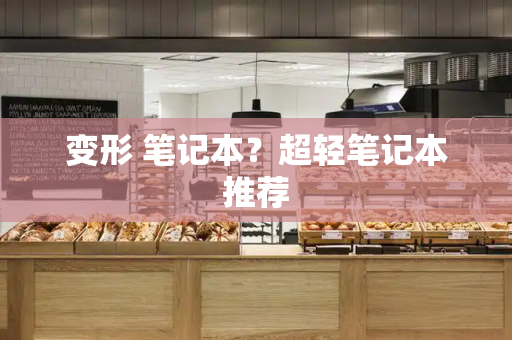 变形 笔记本？超轻笔记本推荐