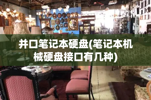 并口笔记本硬盘(笔记本机械硬盘接口有几种)-第1张图片-星选测评
