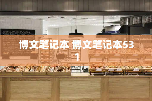 博文笔记本 博文笔记本531-第1张图片-星选测评