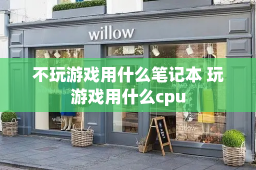 不玩游戏用什么笔记本 玩游戏用什么cpu-第1张图片-星选测评