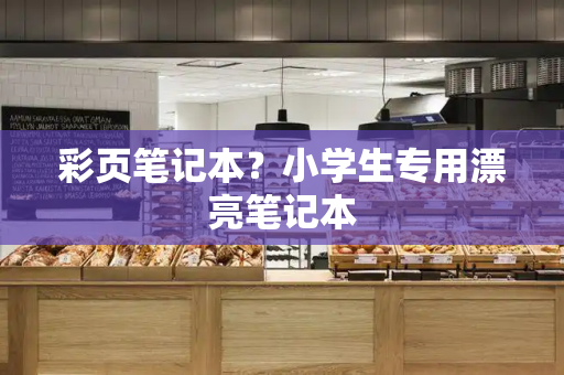 彩页笔记本？小学生专用漂亮笔记本