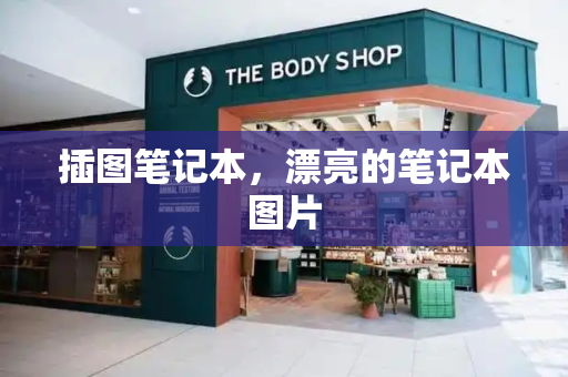插图笔记本，漂亮的笔记本图片-第1张图片-星选测评