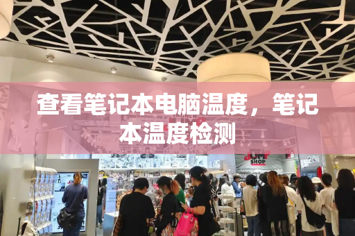 查看笔记本电脑温度，笔记本温度检测-第1张图片-星选测评