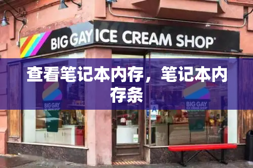 查看笔记本内存，笔记本内存条-第1张图片-星选测评