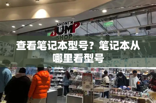 查看笔记本型号？笔记本从哪里看型号-第1张图片-星选测评