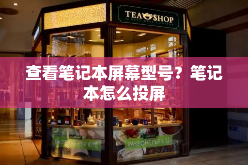 查看笔记本屏幕型号？笔记本怎么投屏