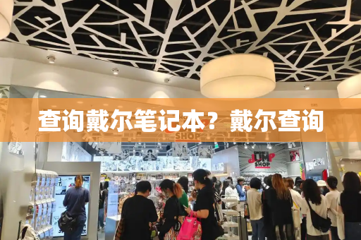 查询戴尔笔记本？戴尔查询-第1张图片-星选测评