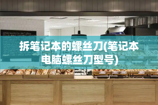 拆笔记本的螺丝刀(笔记本电脑螺丝刀型号)-第1张图片-星选测评