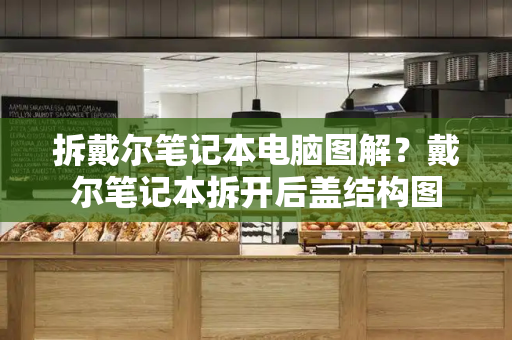 拆戴尔笔记本电脑图解？戴尔笔记本拆开后盖结构图-第1张图片-星选测评