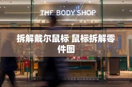 拆解戴尔鼠标 鼠标拆解零件图