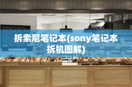 拆索尼笔记本(sony笔记本拆机图解)-第1张图片-星选测评