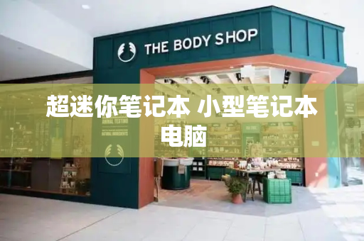超迷你笔记本 小型笔记本电脑