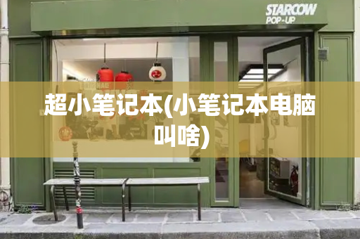 超小笔记本(小笔记本电脑叫啥)-第1张图片-星选测评
