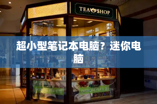 超小型笔记本电脑？迷你电脑