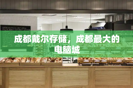 成都戴尔存储，成都最大的电脑城