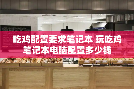 吃鸡配置要求笔记本 玩吃鸡笔记本电脑配置多少钱-第1张图片-星选测评
