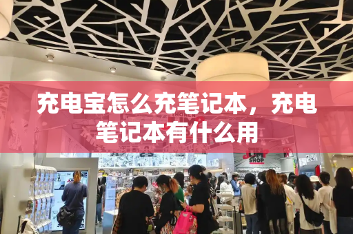 充电宝怎么充笔记本，充电笔记本有什么用-第1张图片-星选测评