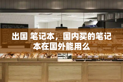 出国 笔记本，国内买的笔记本在国外能用么-第1张图片-星选测评