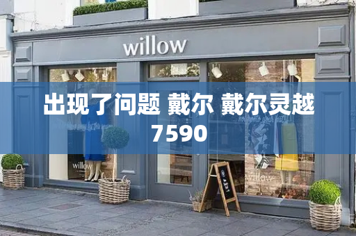 出现了问题 戴尔 戴尔灵越7590