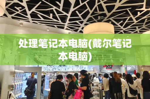 处理笔记本电脑(戴尔笔记本电脑)-第1张图片-星选测评