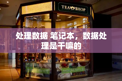 处理数据 笔记本，数据处理是干嘛的
