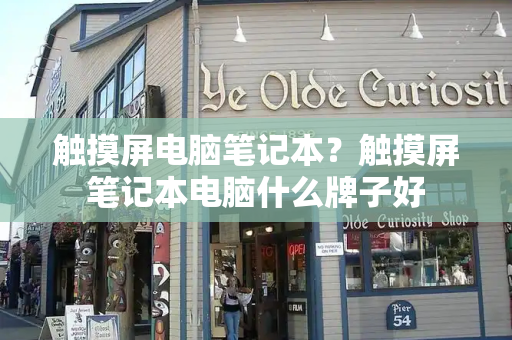 触摸屏电脑笔记本？触摸屏笔记本电脑什么牌子好