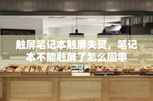 触屏笔记本触屏失灵，笔记本不能触屏了怎么回事-第1张图片-星选测评
