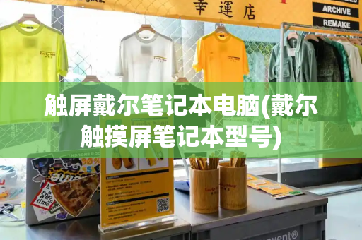 触屏戴尔笔记本电脑(戴尔触摸屏笔记本型号)-第1张图片-星选测评