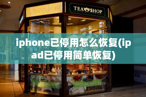 iphone已停用怎么恢复(ipad已停用简单恢复)-第1张图片-星选测评