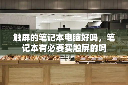 触屏的笔记本电脑好吗，笔记本有必要买触屏的吗-第1张图片-星选测评