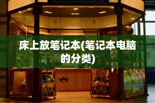 床上放笔记本(笔记本电脑的分类)-第1张图片-星选测评
