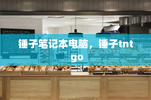 锤子笔记本电脑，锤子tnt go-第1张图片-星选测评