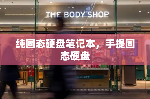 纯固态硬盘笔记本，手提固态硬盘