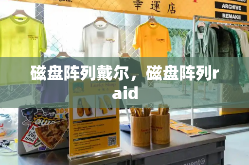 磁盘阵列戴尔，磁盘阵列raid-第1张图片-星选测评