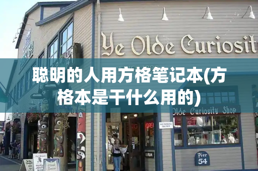 聪明的人用方格笔记本(方格本是干什么用的)-第1张图片-星选测评