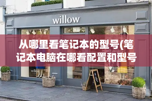 从哪里看笔记本的型号(笔记本电脑在哪看配置和型号)-第1张图片-星选测评