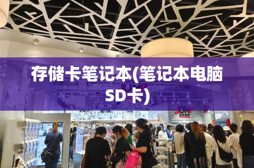 存储卡笔记本(笔记本电脑SD卡)-第1张图片-星选测评
