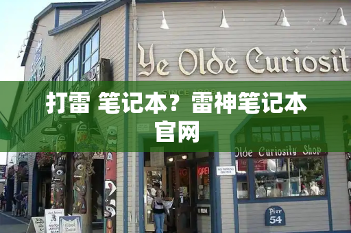 打雷 笔记本？雷神笔记本官网-第1张图片-星选测评