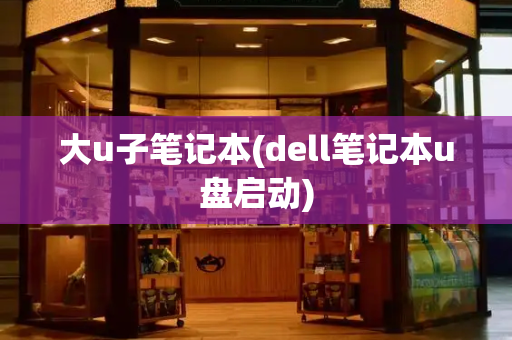 大u子笔记本(dell笔记本u盘启动)