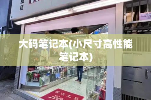 大码笔记本(小尺寸高性能笔记本)-第1张图片-星选测评