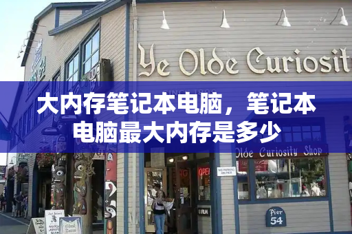 大内存笔记本电脑，笔记本电脑最大内存是多少-第1张图片-星选测评