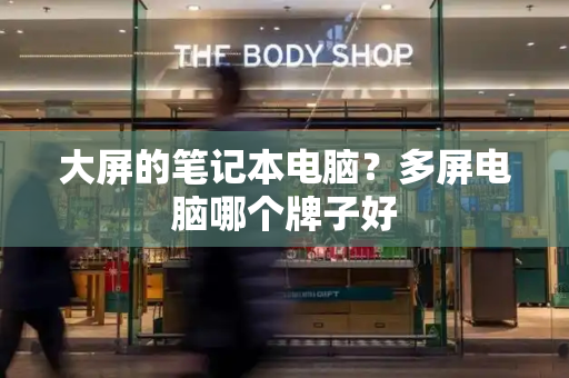 大屏的笔记本电脑？多屏电脑哪个牌子好