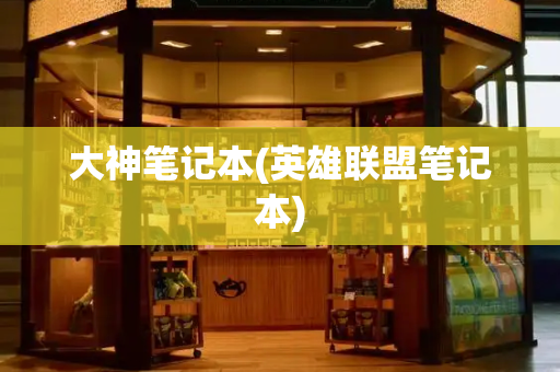 大神笔记本(英雄联盟笔记本)-第1张图片-星选测评