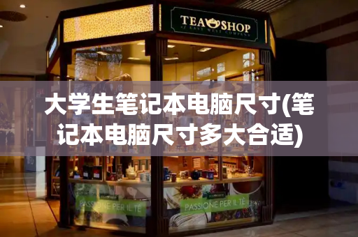 大学生笔记本电脑尺寸(笔记本电脑尺寸多大合适)-第1张图片-星选测评