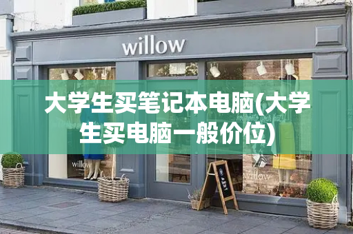 大学生买笔记本电脑(大学生买电脑一般价位)